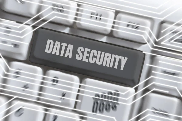 Conceptual Caption Data Security Business Showcase Titoktartási Lemez Titkosítás Biztonsági — Stock Fotó