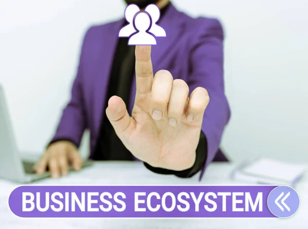 Text Sign Showing Business Ecosystem Business Concept Develop Implement Organization — Stock Photo, Image
