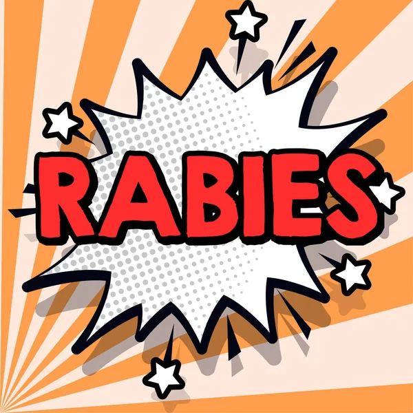 Inspiration Visar Tecken Rabies Begreppet Dödlig Virussjukdom Hos Hundar Och — Stockfoto