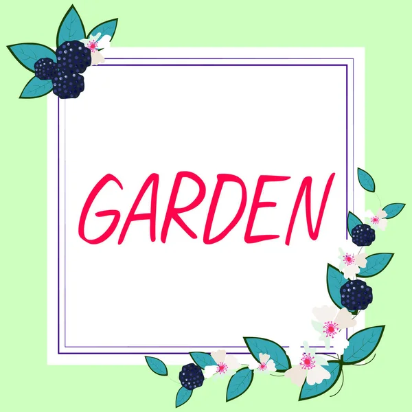 Yazısı Metni Bahçesi Kavram Anlamı Çiçek Veya Sebze Yetiştirmek Için — Stok fotoğraf