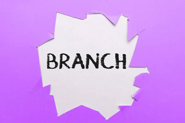 Handschrift Teken Branch Business Concept Een Deel Van Een Boom — Stockfoto