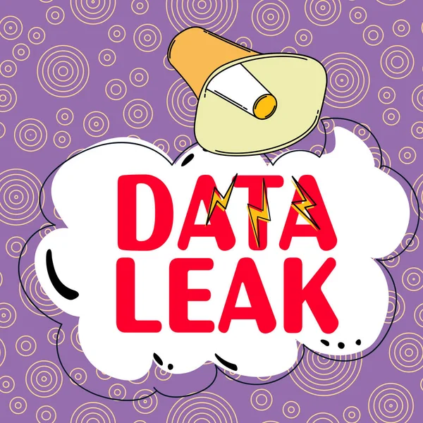 Text sign showing Data Leak, Business idea released illegal transmission of data from a company externally