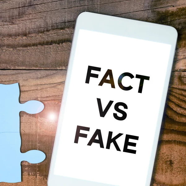 Conceptual Display Fact Fake Business Idea True False Doubt Something — Stock fotografie
