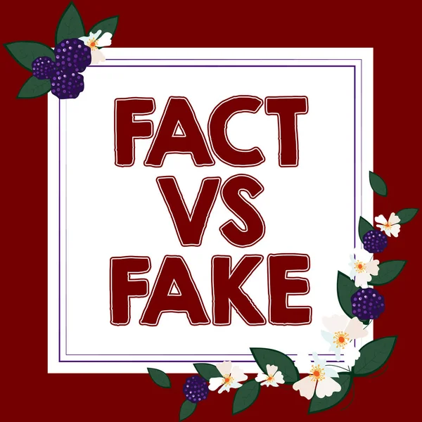 Leyenda Conceptual Fact Fake Business Showcase Cierto Una Duda Falsa —  Fotos de Stock
