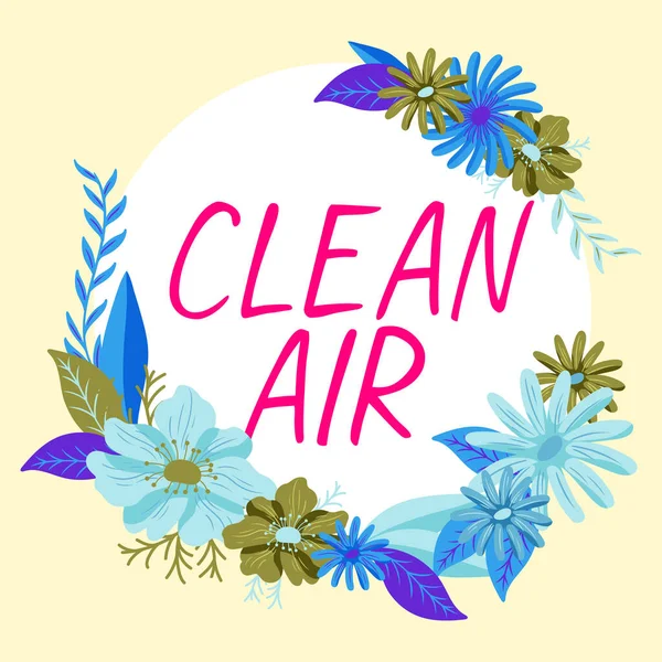Inspiration showing sign Clean Air, Business idea air that has no harmful levels of dirt and chemicals in it