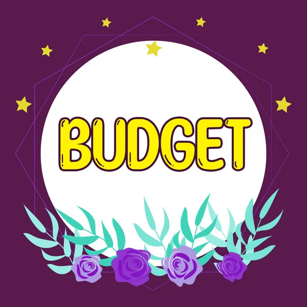 Begreppsmässig Bildtext Budget Business Showcase Definierad Uppskattning Inkomster Och Utgifter — Stockfoto