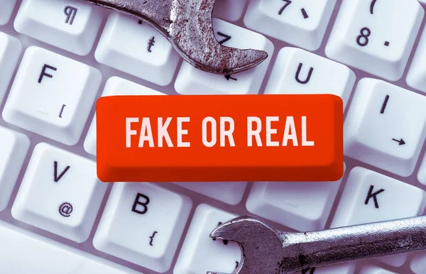 Text Sign Showing Fake Real Word Difference Facts Deliberate Disinformation — Stockfoto