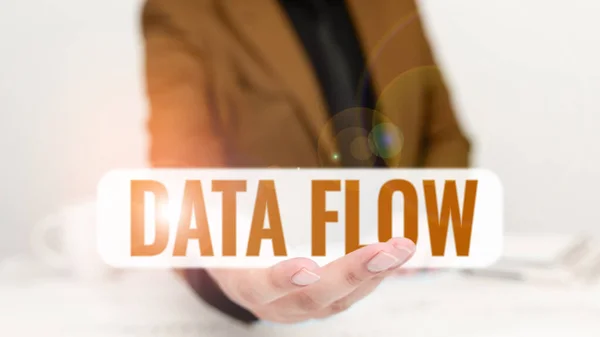 데이터 플로우를 텍스트 비즈니스 케이스 소프트웨어로 구성된 시스템을 데이터의 — 스톡 사진