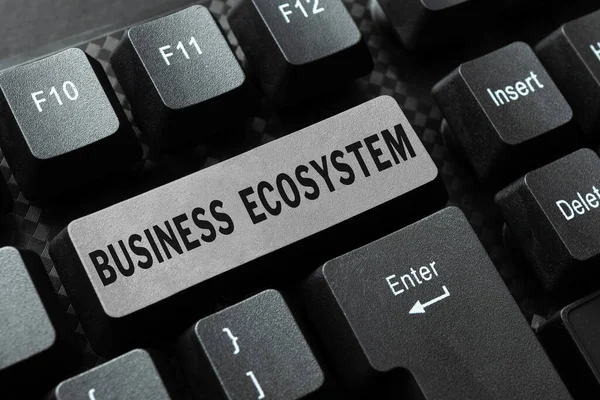 Señal Que Muestra Ecosistema Empresarial Visión General Del Negocio Desarrolle — Foto de Stock