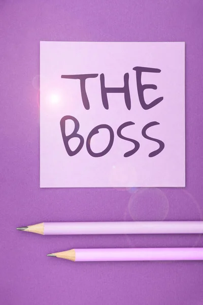 Inspiration Showing Sign Boss Business Showcase Person Who Exercises Control — Fotografia de Stock