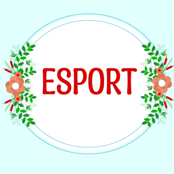写作展示文字Esport Business Approach Multiplayer视频游戏为观众和观众提供了竞争和乐趣 — 图库照片