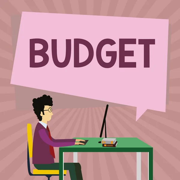Sinal Escrita Mão Orçamento Ideia Negócio Estimativa Definida Receitas Despesas — Fotografia de Stock