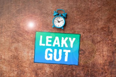 Text sign showing Leaky Gut, Business showcase A condition in which the lining of small intestine is damaged