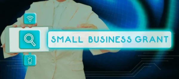 中小企業助成金を表示するテキストキャプション その限られたサイズで知られている個人所有のビジネスのアイデア — ストック写真