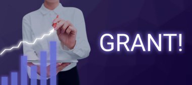 El yazısı bursu, iş genel değerlendirmesi burs için bir kurum ya da hükümet tarafından verilen para