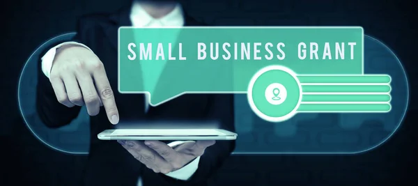 Legenda Texto Apresentando Small Business Grant Ideia Negócio Negócio Individual — Fotografia de Stock