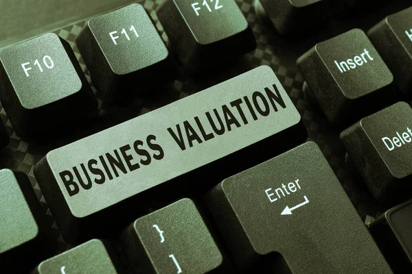 Conceptuele Weergave Business Valuation Bedrijfsoverzicht Bepalen Van Economische Waarde Van — Stockfoto