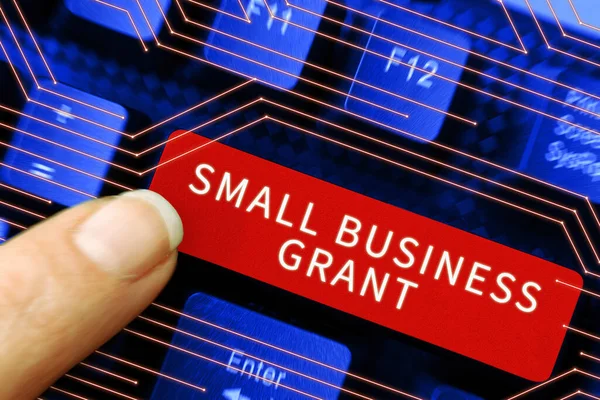 Inspiración Mostrando Signo Small Business Grant Internet Concept Una Empresa —  Fotos de Stock