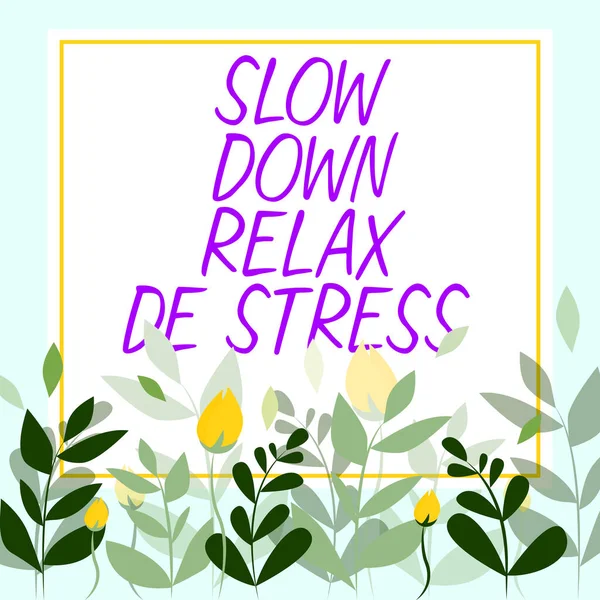Writing Displaying Text Slow Relax Stress Concept Meaning Have Break — Zdjęcie stockowe