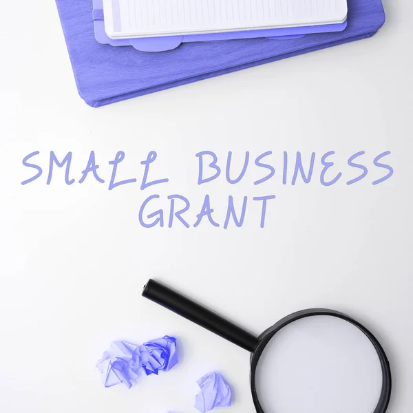 Exibição Conceitual Small Business Grant Word Escrito Negócio Propriedade Individual — Fotografia de Stock