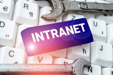 El yazısı metni Intranet, İş yaklaşımı yerel veya kısıtlı iletişim ağı özellikle de özel olan