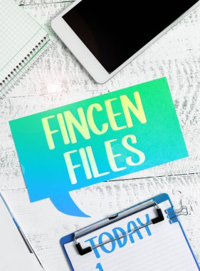 Fincen Dosyaları, Fincen Dosyaları, Finansal varlıklardaki Internet Kavram Aktarımlarını ve yükümlülükleri gösteren metin işareti