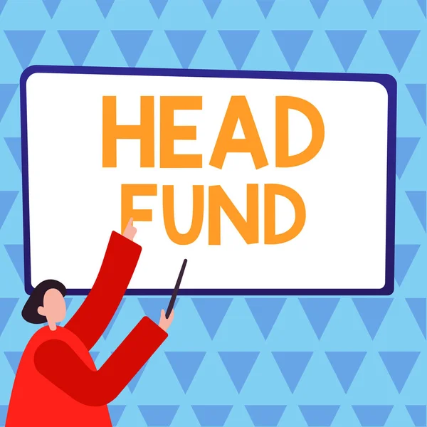 Bildunterschrift Head Fund Business Overview Bündelt Kapital Von Akkreditierten Investoren — Stockfoto