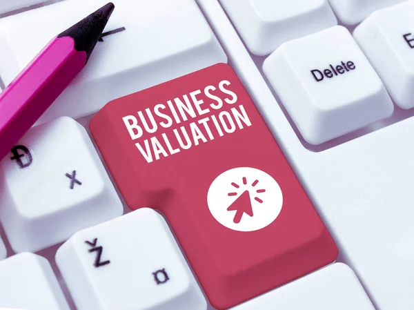 Text Caption Presenting Business Valuation Business Overview Determining Economic Value — Stockfoto