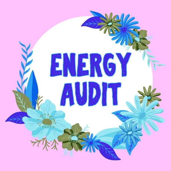 Inspiratie Toont Teken Energy Audit Concept Betekent Beoordeling Van Energiebehoefte — Stockfoto