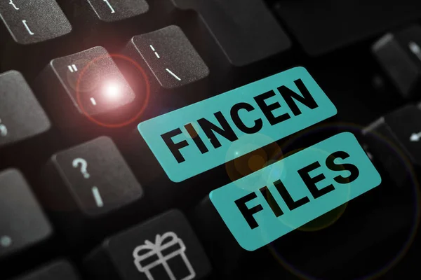 Writing displaying text Fincen Files, Word Written on Transactions in financial assets and liabilities