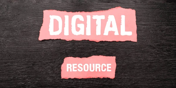 Концептуальная Подпись Digital Resource Business Approach Content Distributed Digitally Internet — стоковое фото