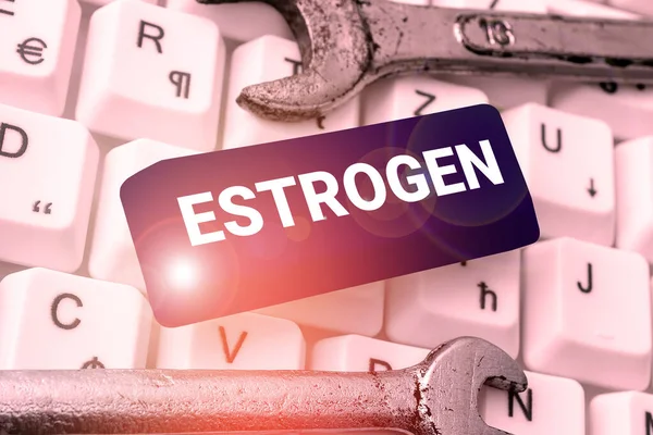 Κείμενο Που Δείχνει Την Έμπνευση Estrogen Εννοιολογική Φωτογραφία Ομάδα Ορμονών — Φωτογραφία Αρχείου
