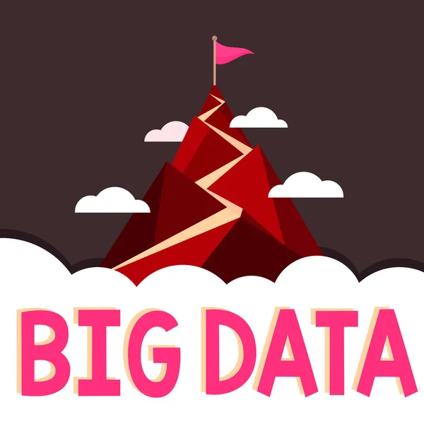 Conceptual Caption Big Data Business Approach Sets Complex Traditional Software — ストック写真