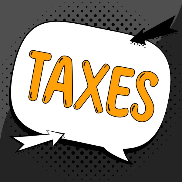 공무원들의 수입에 정부의 수입원에 인터넷 컨셉의 Taxes — 스톡 사진