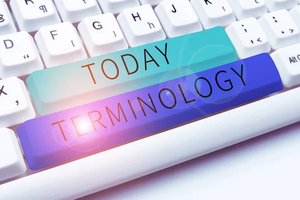 Writing Displaying Text Terminology Business Overview Terms Used Particular Technical — Stock Photo, Image