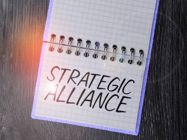 Writing displaying text Strategic Alliance, Word Written on a bond between states, parties, individuals on goal achievement