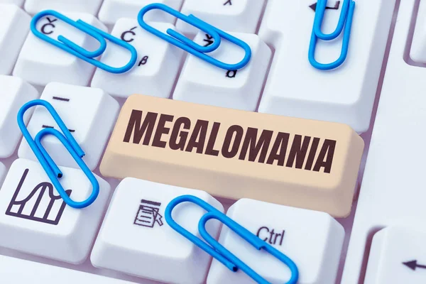 Tekst Weergeven Megalomania Business Showcase Geestesziekte Die Wordt Gekenmerkt Door — Stockfoto