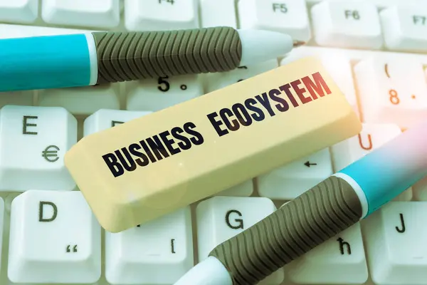 Text Bildtext Presenterar Business Ecosystem Word För Att Utveckla Och — Stockfoto