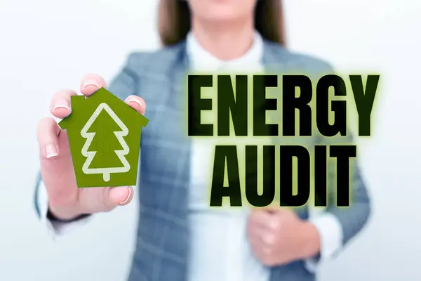 Textový Nápis Ukazující Energetický Audit Obchodní Přehled Posouzení Energetických Potřeb — Stock fotografie
