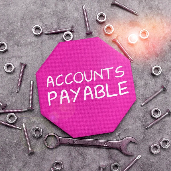 Text Sign Showing Accounts Payable Business Approach Money Owed Business — 스톡 사진