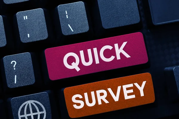 Szöveg Felirat Bemutató Quick Survey Internet Concept Magatartás Gyors Ellenőrzése — Stock Fotó