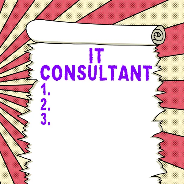 Text Sign Showing Consultant Concept Meaning Focuses Advising Organizations How — Stockfoto