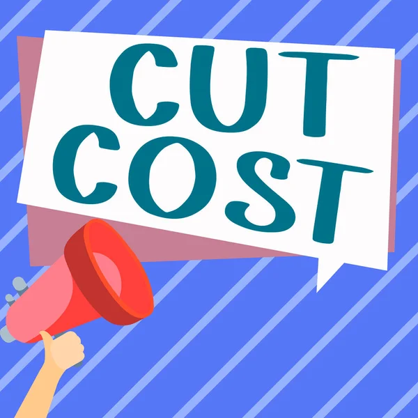 Text Som Visar Inspiration Cut Cost Concept Meaning Åtgärder Genomförda — Stockfoto