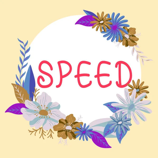 Text Zeigt Inspiration Geschwindigkeit Konzept Bedeutung Geschwindigkeit Mit Der Jemand — Stockfoto