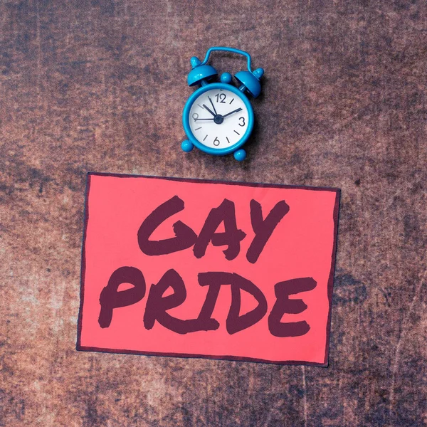 Text Sign Showing Gay Pride Business Idea Dignity Idividual Belongs — Stock fotografie