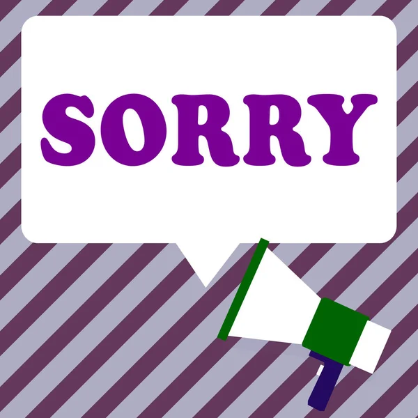 Scrivere Visualizzando Testo Sorry Business Idea Telling Someone You Ashamed — Foto Stock