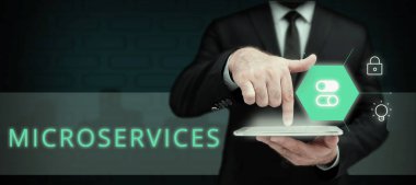 Microservices, Business Overview Yazılım Geliştirme Tekniklerini gösteren imza Tek Fonksiyon Modülü