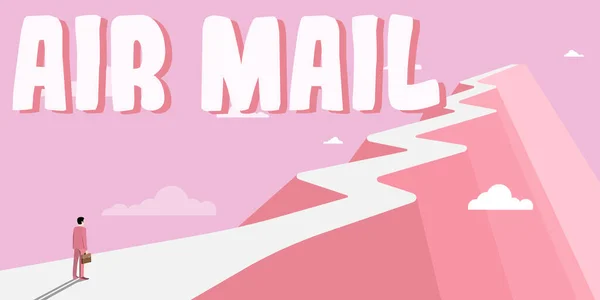 Концептуальний Дисплей Air Mail Бізнес Концепція Сумки Листами Пакунками Які — стокове фото