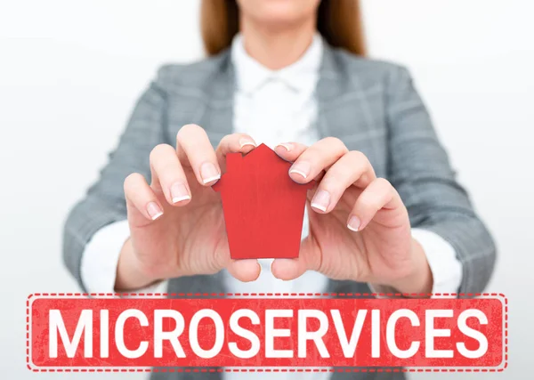 Conceptual Display Microservices Business Concept Software Development Technique Building Single — 스톡 사진