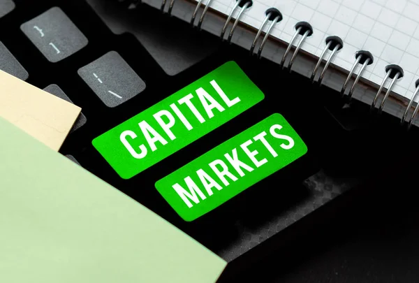 Texto Que Presenta Mercado Capitales Concepto Que Significa Permitir Las — Foto de Stock
